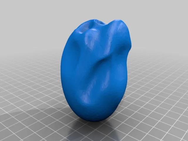 skull base – Modelo 3D gratuito STL