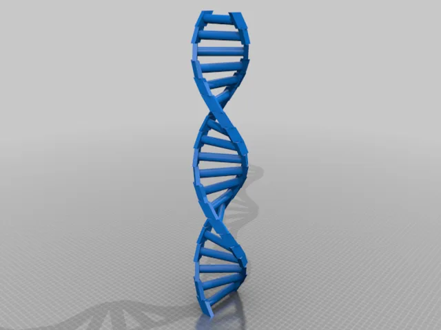 Customizable DNA – Free 3D Model STL