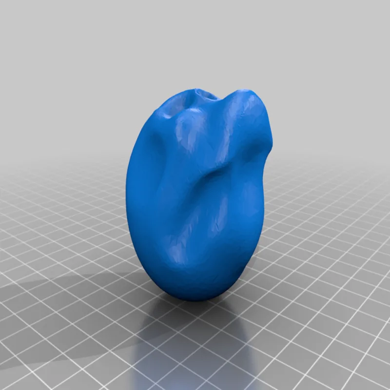 skull base – Modello 3D stampabile da Thingiverse