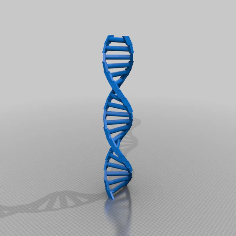 Customizable DNA – Modèle 3D imprimable de Thingiverse
